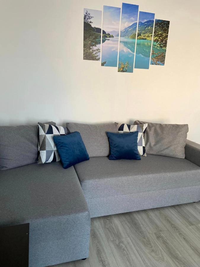 Brifla Comfort Mures Appartamento
